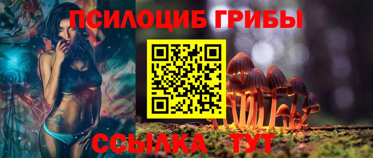 Псилоцибиновые грибы GOLDEN TEACHER Вичуга