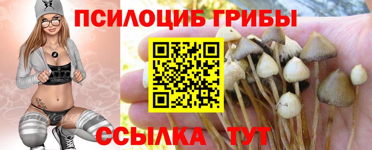 Галлюциногенные грибы ЛСД  Псилоцибиновые грибы GOLDEN TEACHER  Вход с VPN  Вичуга 